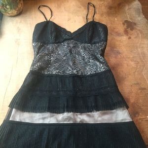 BCBG Maxazria Tiered Sexy Lace Slip Fringe Dress